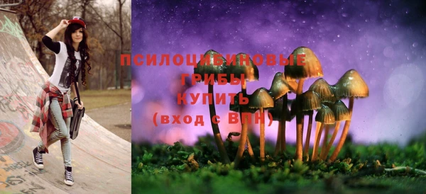 мдма Бородино